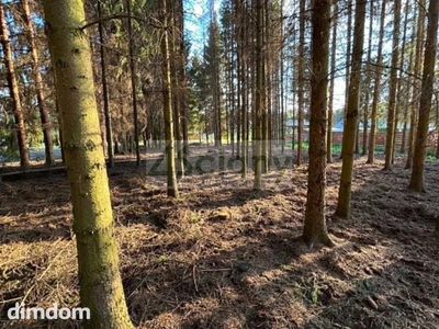 Do sprzedania działka budowlana o powierzchni 1575 m2 w Radoniach koło Grodziska Maz. - 2