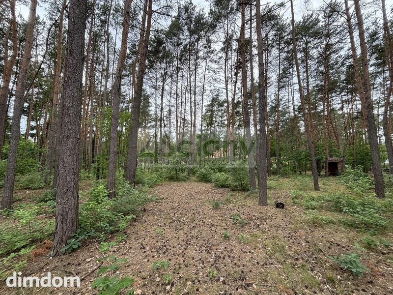 ATRAKCYJNA DZIAŁKA BUDOWLANA 1789 m² ZAŁUBICE - 113368695.jpg