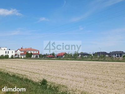Zgorzała, cicha, ustawna  MPZP - 4