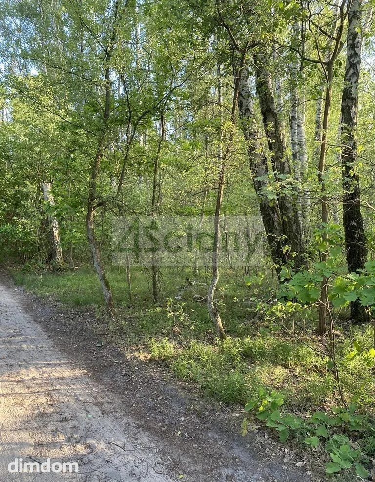 Do sprzedania działka budowlana o powierzchni 2605 m2 w Maryninie koło Grodziska Maz. - 113303202.jpg