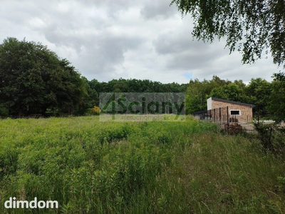 Działka z lasem w Strzeniówce - 3