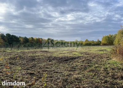 Przypki - działka budowlana 1200 m² z prądem