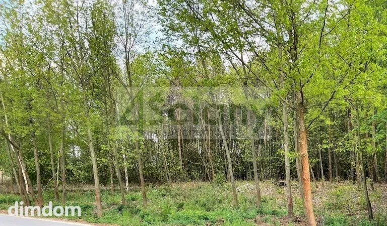 Działka budowlana  z terenem leśnym w Nadarzynie - 113578406.jpg