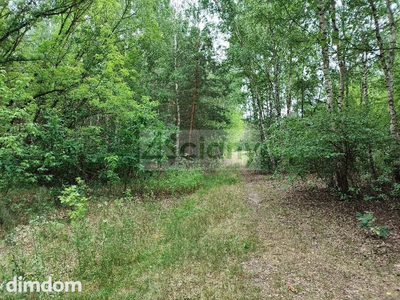 Działka w Wólce w lesie, 600 metrów od puszczy - 2
