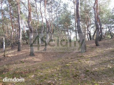Do sprzedania zalesiona działka budowlana o powierzchni 1 705 m2, położona w najpiękniejszej części Legionowa - Bukowiec. Kształt prostokąta o wymiarach 31 m (od drogi) na 55 m. Dojazd utwardzony. Me…