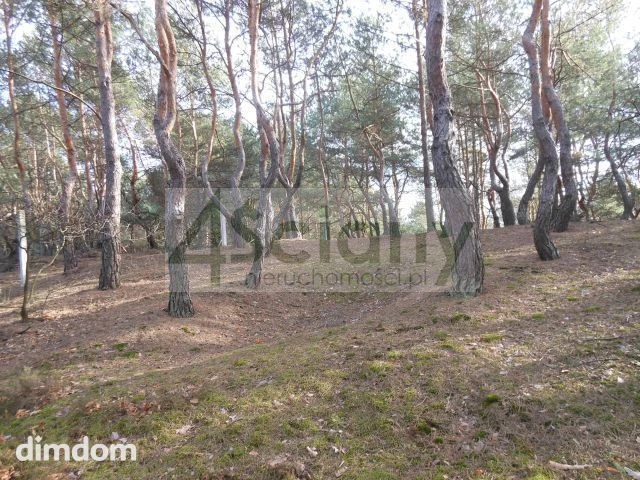 Do sprzedania zalesiona działka budowlana o powierzchni 1 705 m2, położona w najpiękniejszej części Legionowa - Bukowiec. Kształt prostokąta o wymiarach 31 m (od drogi) na 55 m. Dojazd utwardzony. Me… - 112921463.jpg
