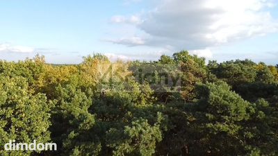 Rezydencjonalna, leśna działka - 2