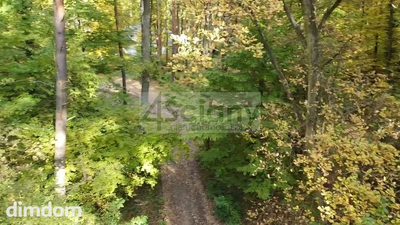 Rezydencjonalna, leśna działka - 3