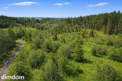 Milwino- działka 3,9 ha z wydanymi WZ. - 3