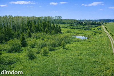 Milwino- działka 3,9 ha z wydanymi WZ. - 4
