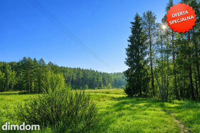 Działka (3.151 m2) - Grzybno, 5,5 km od centrum K