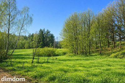 Działka (3.151 m2) -  Grzybno, 5,5 km od centrum K - 3