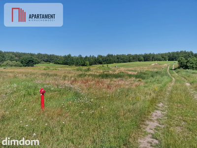 Działka budowlana 8308 m² z WZ | Roztoka |