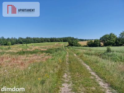Działka budowlana 8308 m² z WZ | Roztoka | - 2