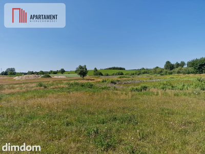 Działka budowlana 8308 m² z WZ | Roztoka | - 3