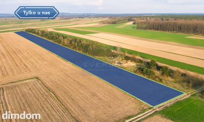 Działka rolna na sprzedaż gm.Wielgomłyny - 5