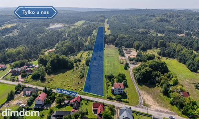 Duża działka 14110 m2 Siedlec Gm. Janów