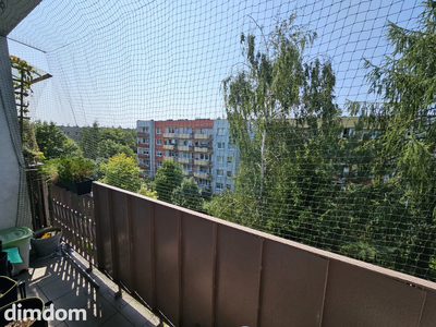 M3 Północ duży balkon - 5