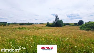 Duża działka rolna w Dercu - 2