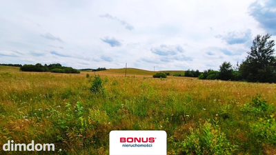 Duża działka rolna w Dercu - 3