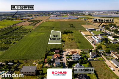 Fabianowo - działka inwestycyjna 5000 m2