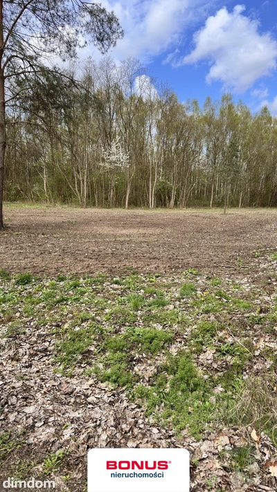 Działka budowlana w okolicach Tarczyna!! - 2