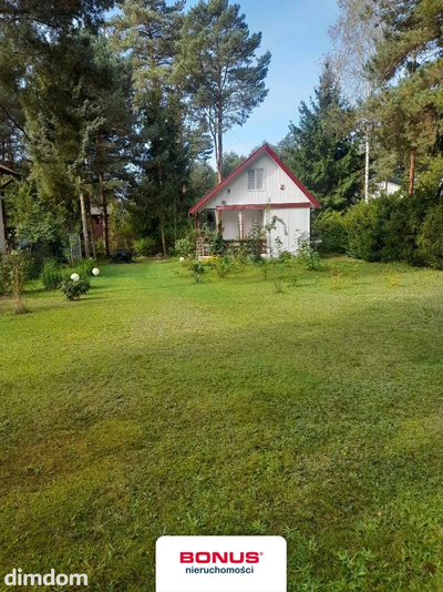 Działka w pobliżu Puszczy Kampinoskiej!!! - 3
