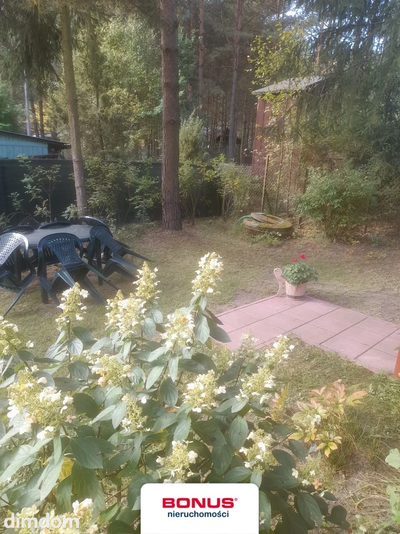 Działka w pobliżu Puszczy Kampinoskiej!!! - 2