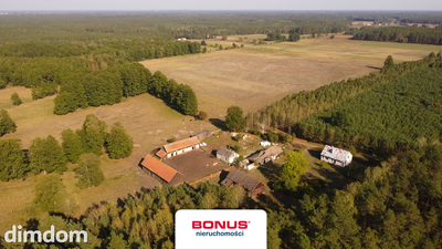 Siedlisko w otoczeniu lasów mazurskich - 3