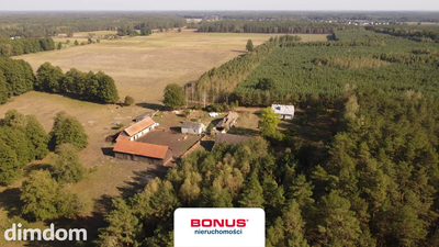 Siedlisko w otoczeniu lasów mazurskich - 4