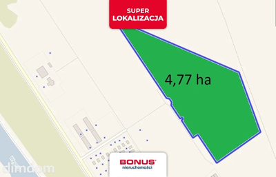 Perełka inwestycyjna w Darłowie!!!