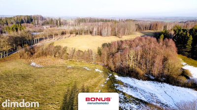 Duża działka z możliwością zabudowy - 3