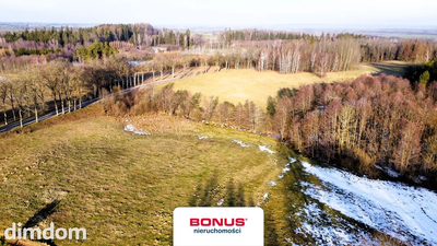Duża działka z możliwością zabudowy - 5