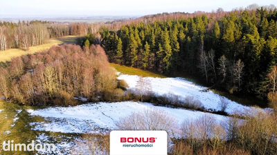 Duża działka z możliwością zabudowy - 4