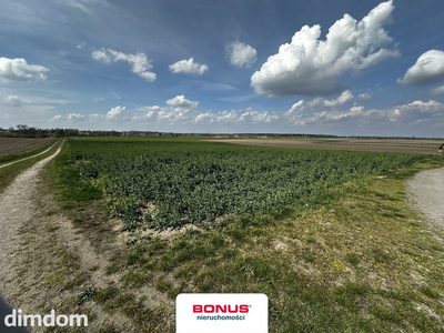 Urokliwe działki,  z Warunkami Zabudowy - 3