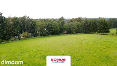 Mazurska Oaza - 2,16 ha z linią brzegową - 3