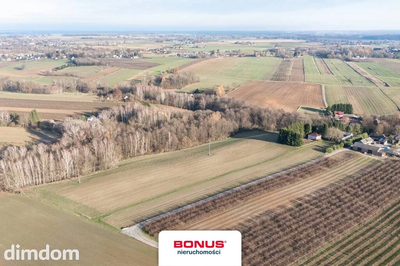 Siedlisko przy Nałęczowie 4,5 ha. - 3
