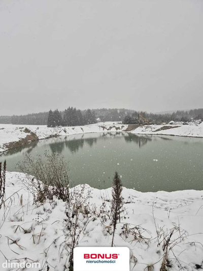 5ha ze stawem i projektem 12 domków - 3