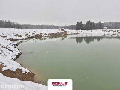 5ha ze stawem i projektem 12 domków - 4