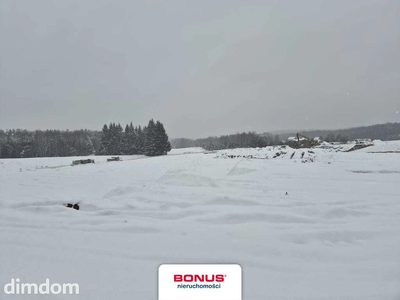 5ha ze stawem i projektem 12 domków - 2