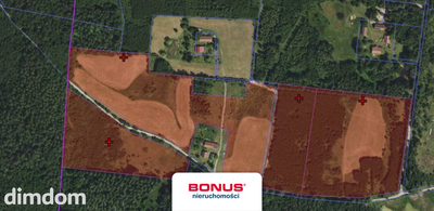 Siedlisko 2,05 ha pod warmińskim lasem - 3