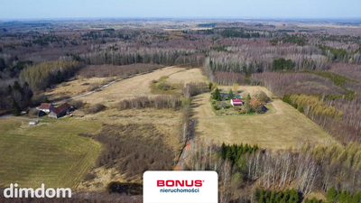 Siedlisko 6,47 ha pod warmińskim lasem - 5