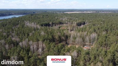Prywatna Enklawa w Sercu Lasu: 1,29 ha Działki