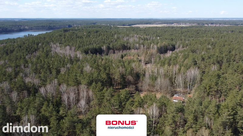 Prywatna Enklawa w Sercu Lasu: 1,29 ha Działki - 111874317.jpg