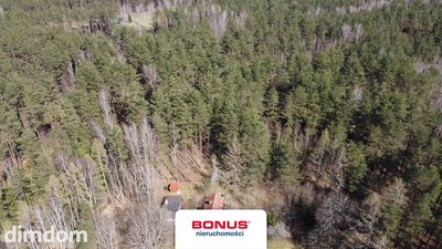 Prywatna Enklawa w Sercu Lasu: 1,29 ha Działki - 5