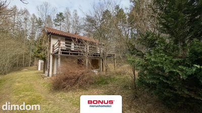 Prywatna Enklawa w Sercu Lasu: 1,29 ha Działki - 3