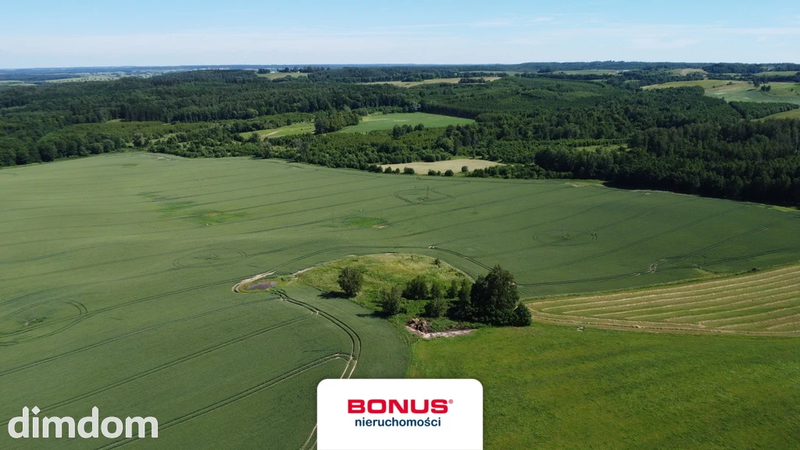 Duża działka 5858 m2 z WZ na Warmii | gm. Kolno - 113528530.jpg