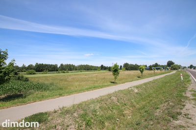 Działka usługowa min 20ar max 50ar  Pałecznica Kol - 2