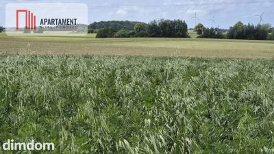 Działka na dom marzeń-twoje miejsce w naturze - 4