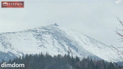 Świetna inwestycja! Idealne pod wynajem! Optymalne pierwsze piętro!
